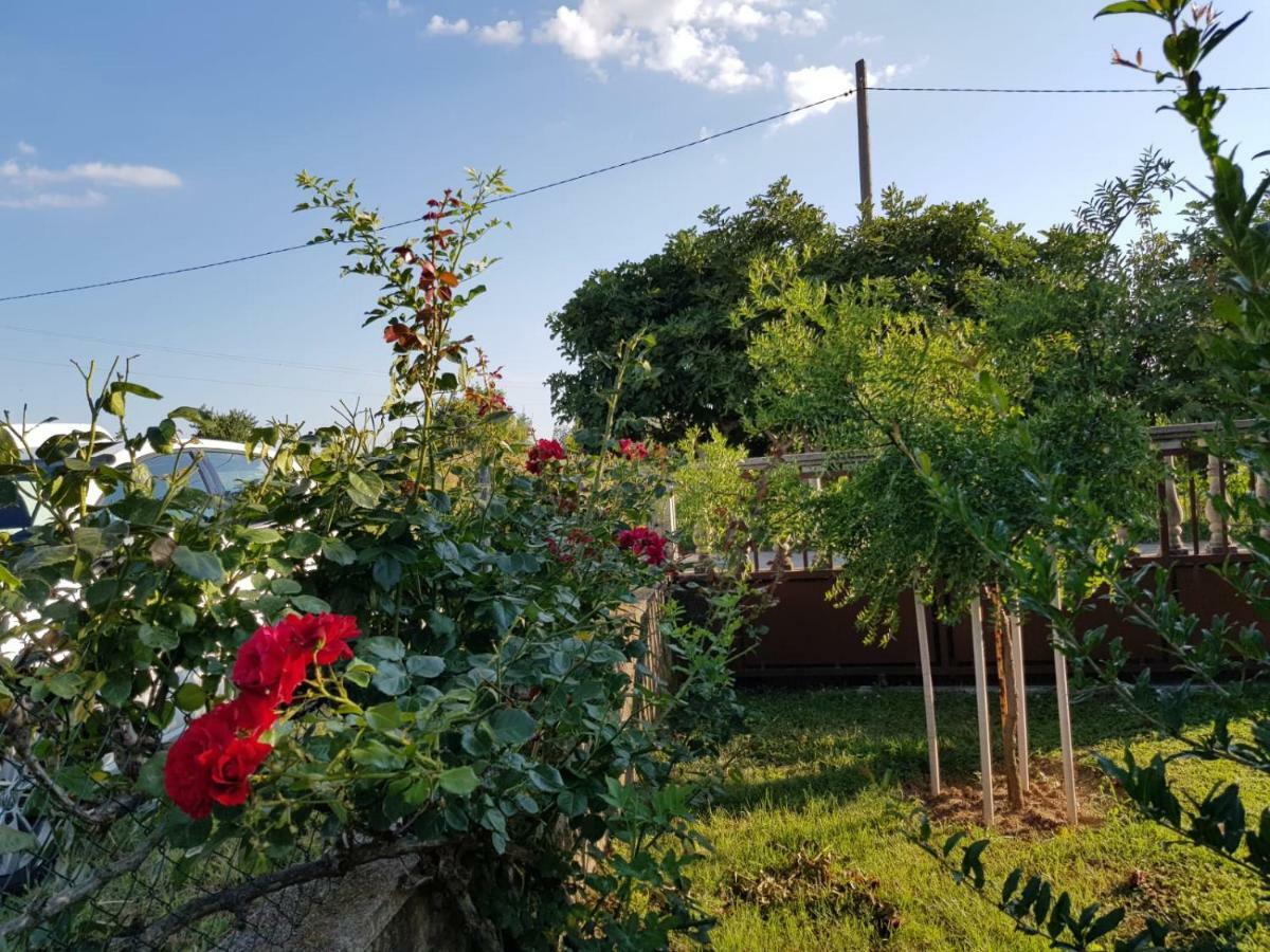 Kuca Za Odmor Luca Apartman Posedarje Kültér fotó